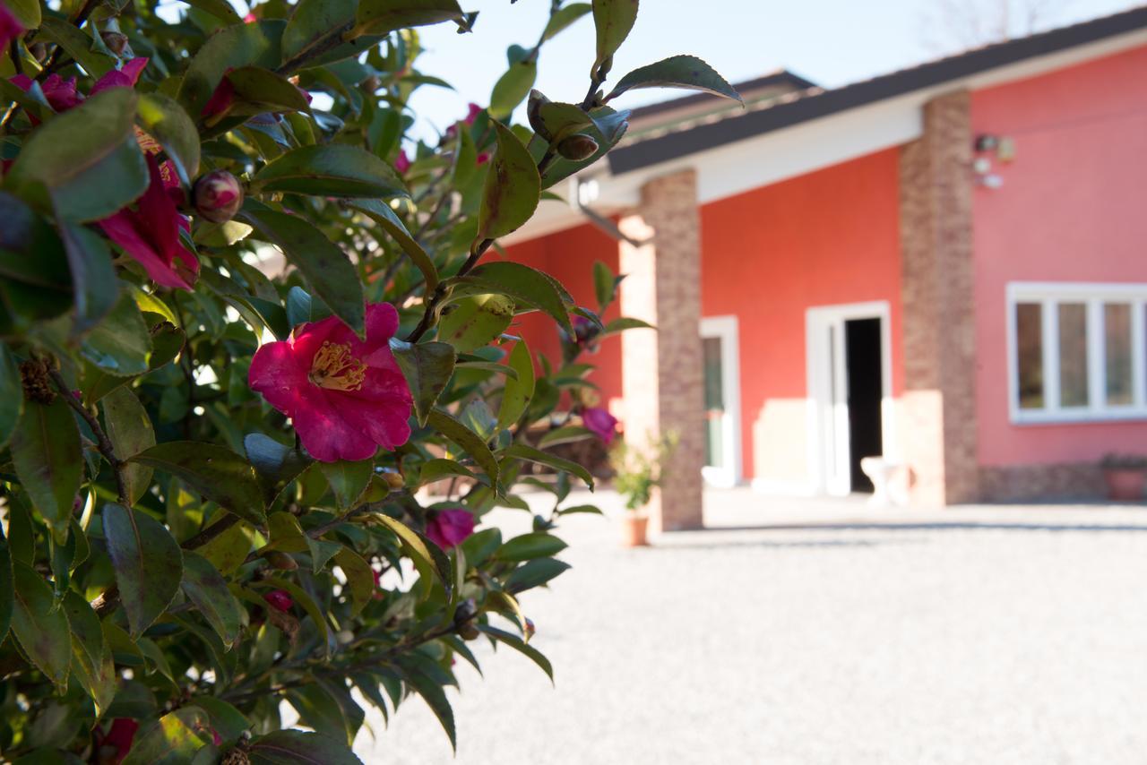 Tenuta La Vigna Malgesso Εξωτερικό φωτογραφία